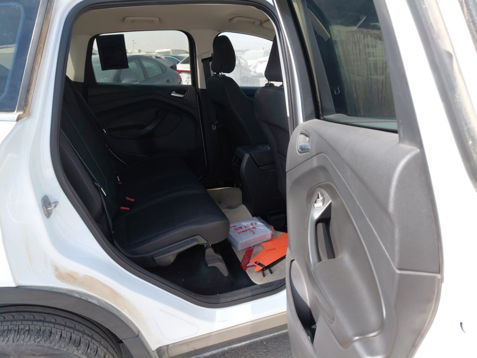 فورد اسكيب -  اس اي (ترند) سبورت 2019 image