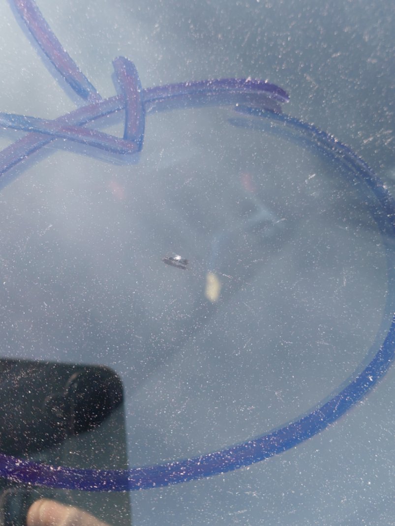 فورد اسكيب -  اس اي (ترند) سبورت 2019 image