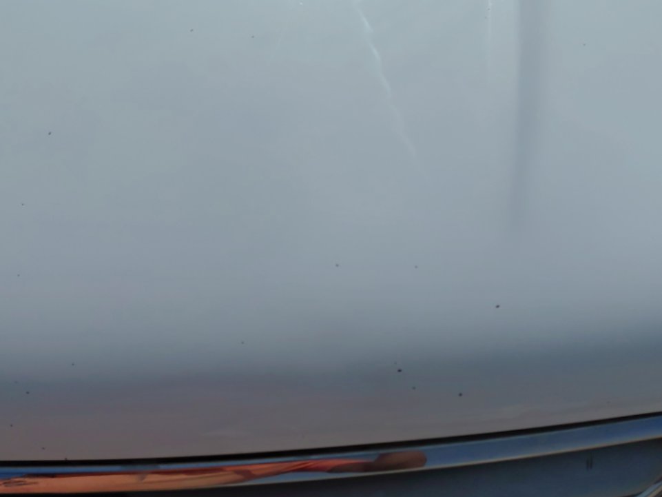 فورد اسكيب -  اس اي (ترند) سبورت 2019 image