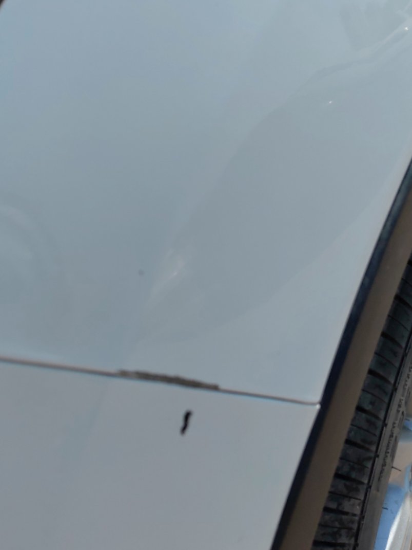 فورد اسكيب -  اس اي (ترند) سبورت 2019 image