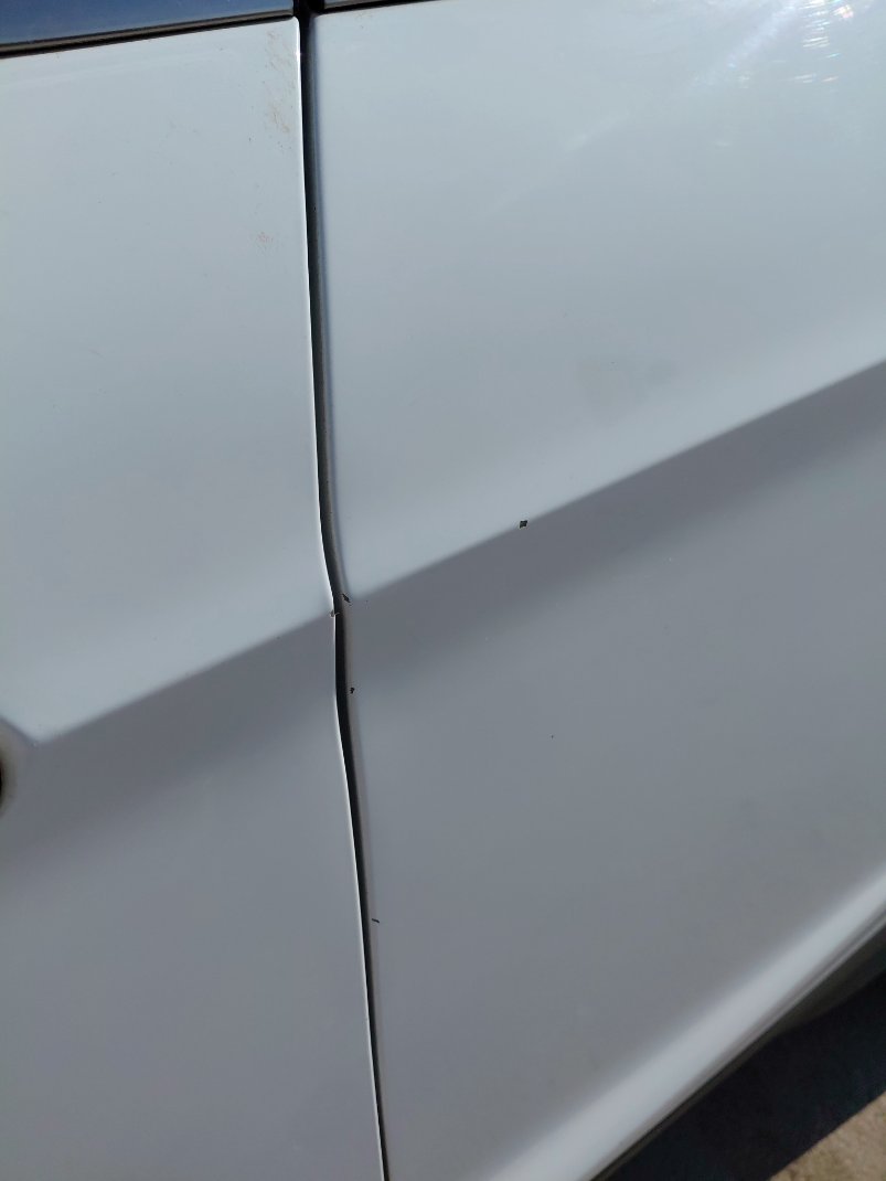 فورد اسكيب -  اس اي (ترند) سبورت 2019 image