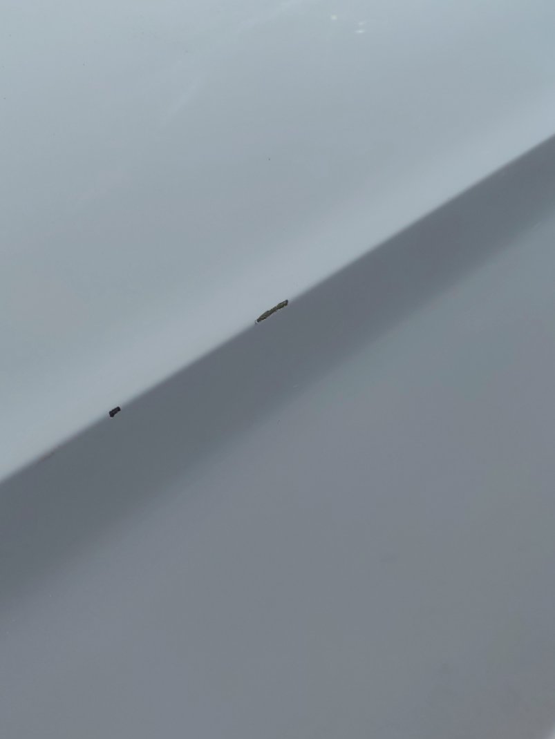 فورد اسكيب -  اس اي (ترند) سبورت 2019 image