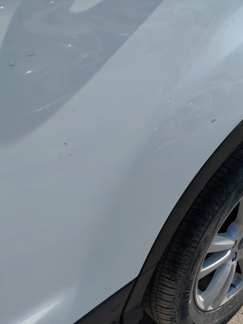 فورد اسكيب -  اس اي (ترند) سبورت 2019 image