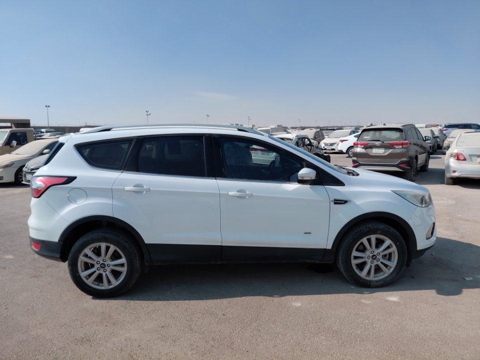 فورد اسكيب -  اس اي (ترند) سبورت 2019 image