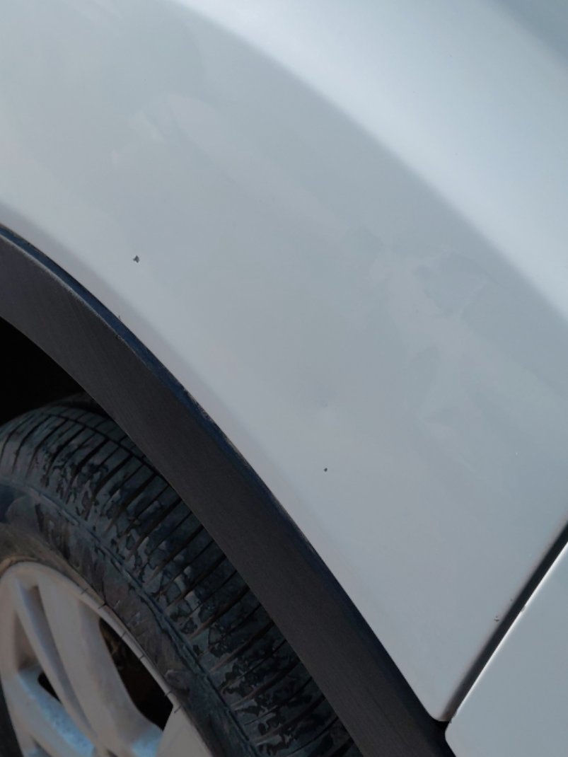 فورد اسكيب -  اس اي (ترند) سبورت 2019 image