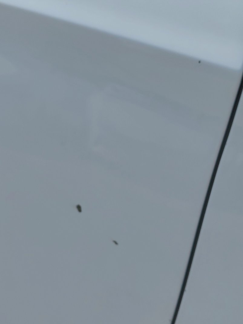 فورد اسكيب -  اس اي (ترند) سبورت 2019 image