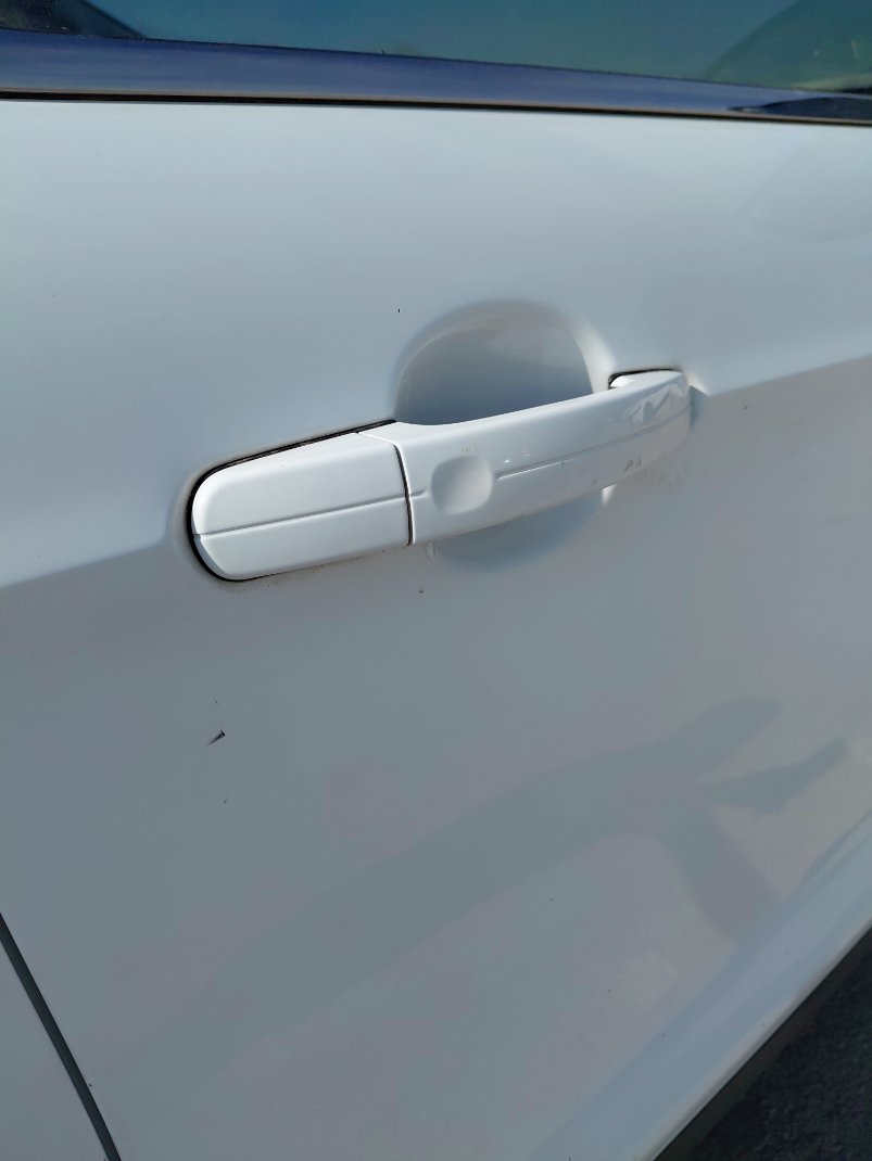 فورد اسكيب -  اس اي (ترند) سبورت 2019 image