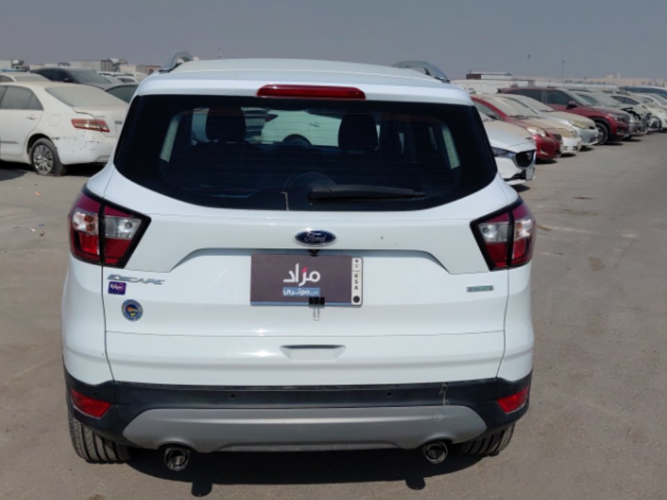 فورد اسكيب -  اس اي (ترند) سبورت 2019 image