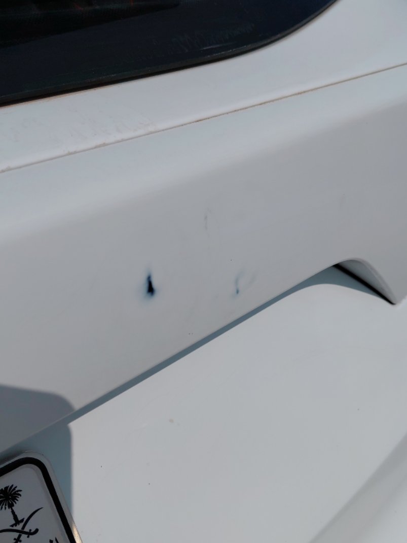 فورد اسكيب -  اس اي (ترند) سبورت 2019 image