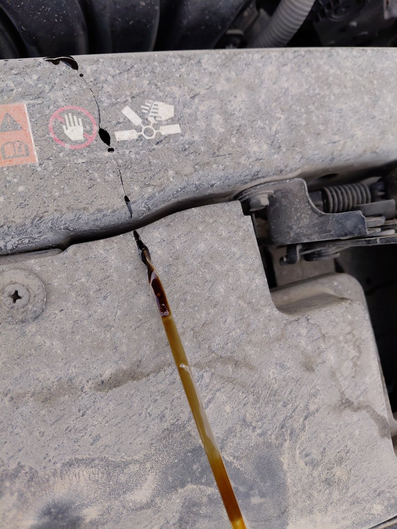 كيا بيجاس FLEET 2020 image