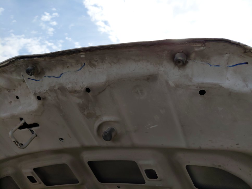 كيا بيجاس FLEET 2020 image