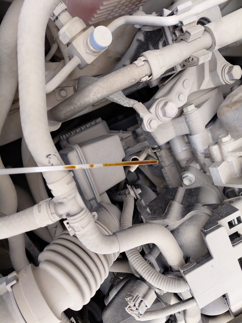 تويوتا كورولا GLI M/R HEV 2021 image