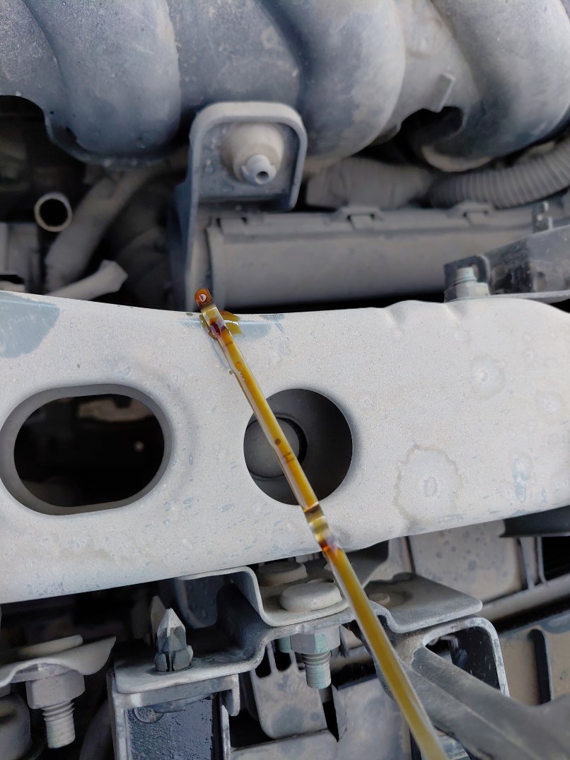 نيسان صني FLEET 2022 image