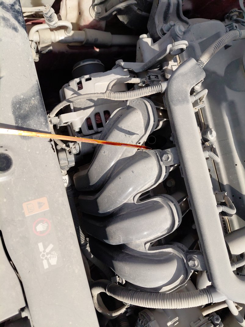 كيا بيجاس EX 2023 image