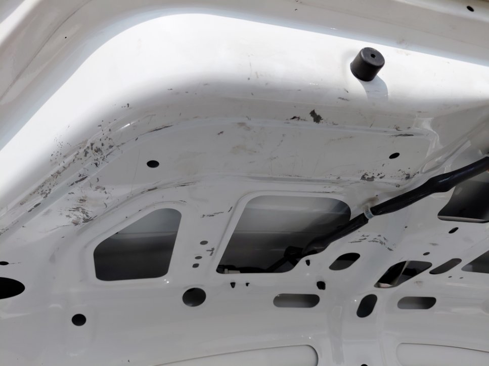 نيسان صني FLEET 2022 image