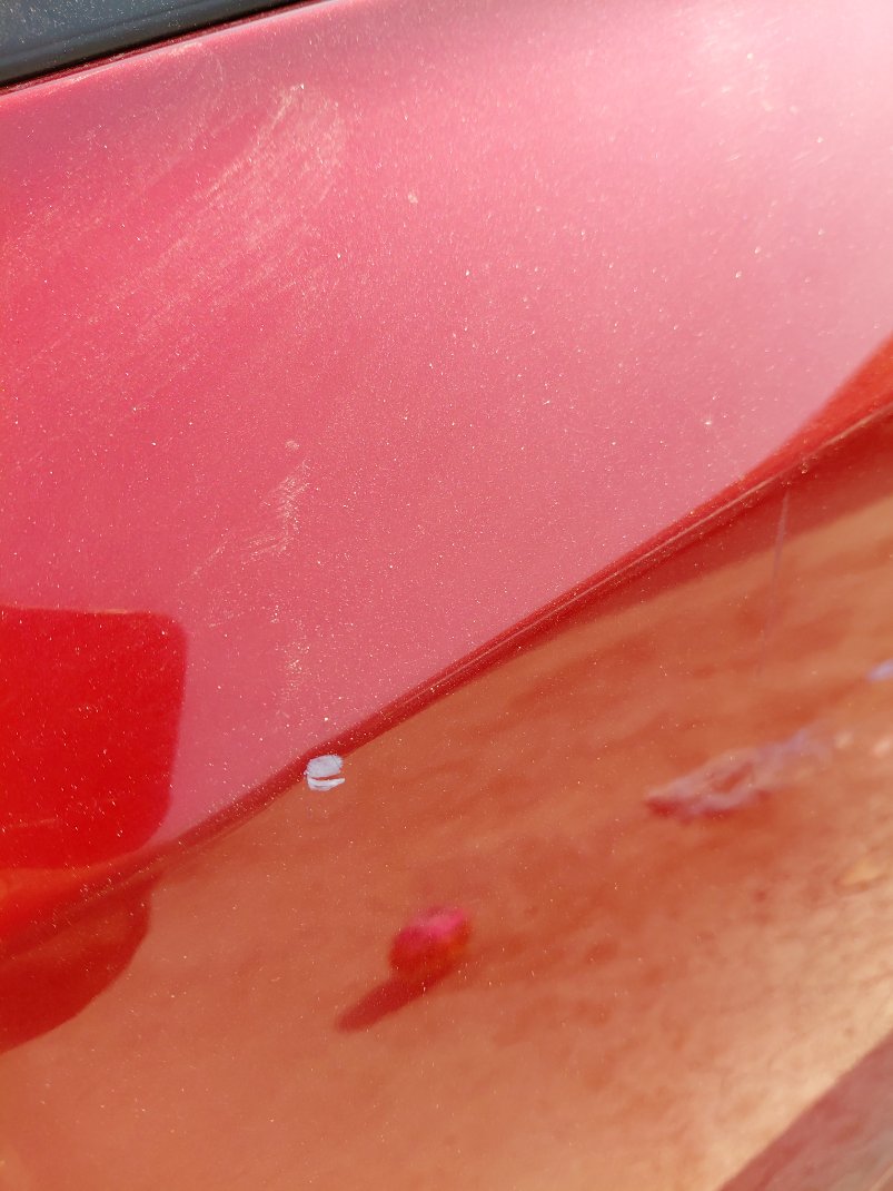 كيا بيجاس EX 2023 image