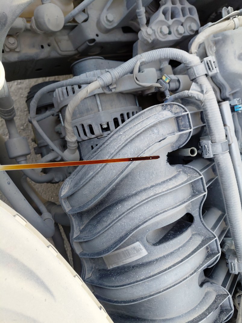 جيلي امجراند STD 2024 image