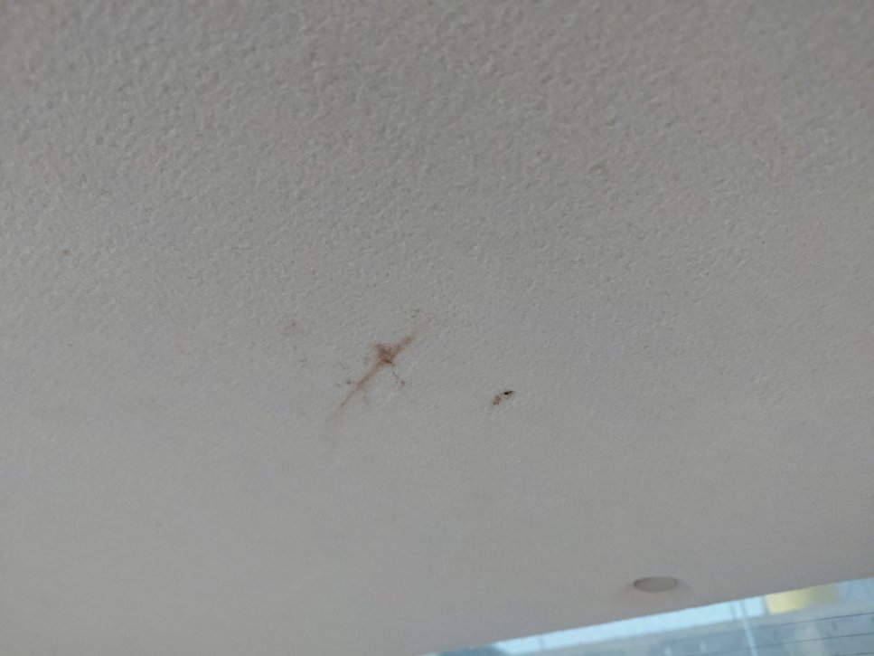 كيا بيجاس EX 2020 image