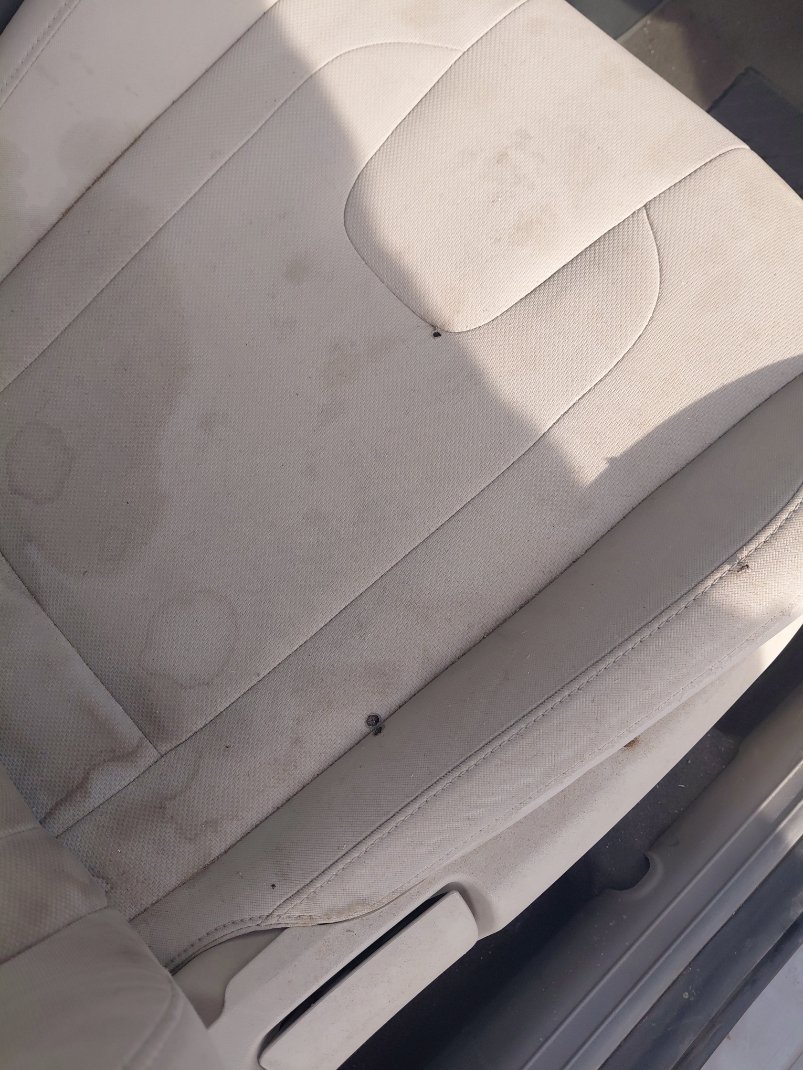 هيونداي إلنترا FLEET 2021 image