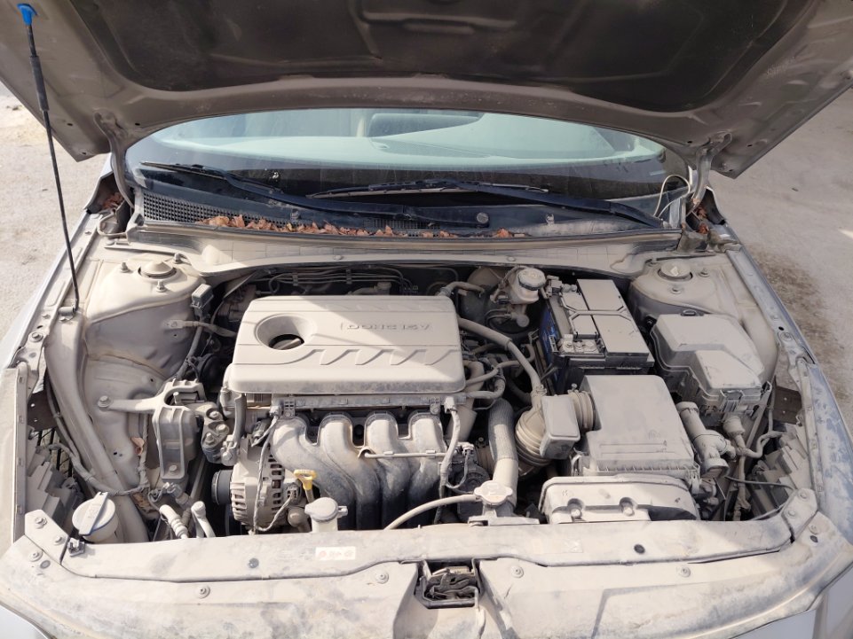 هيونداي إلنترا FLEET 2021 image