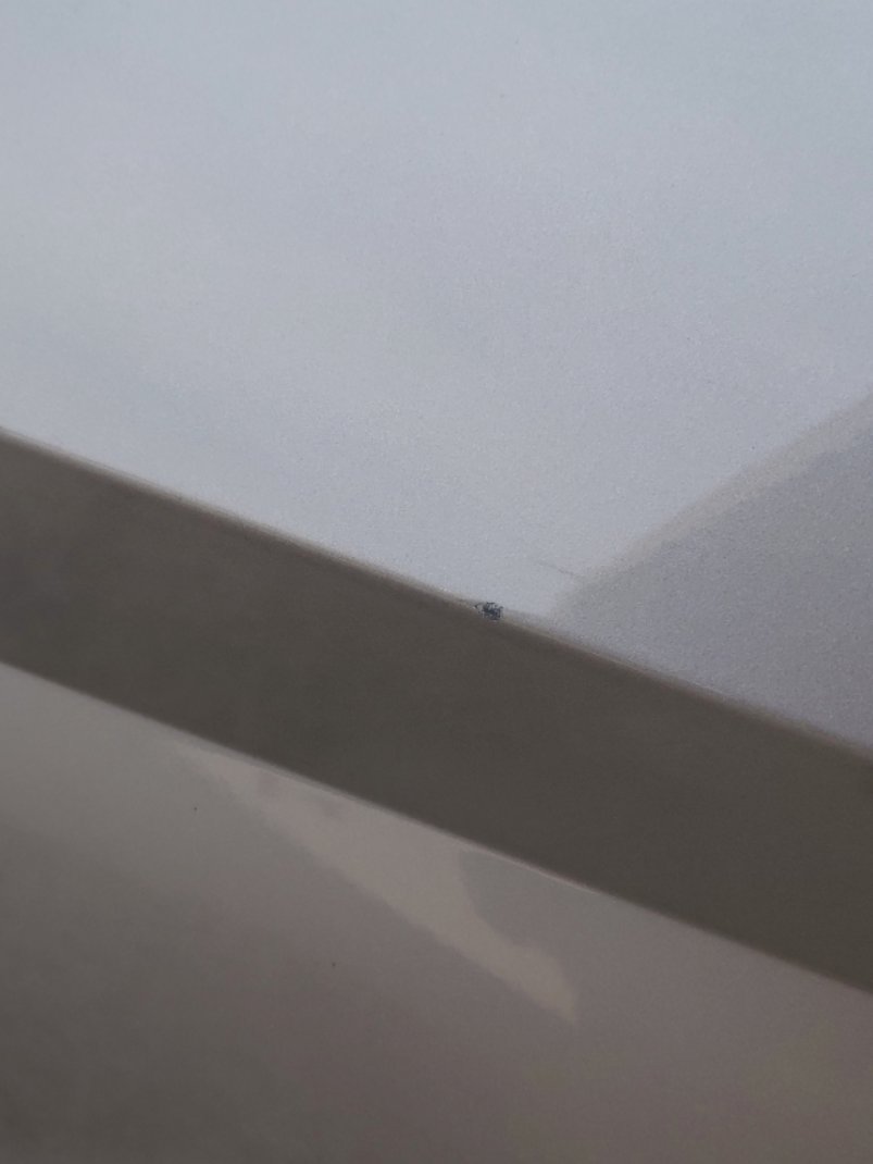 هيونداي إلنترا FLEET 2021 image