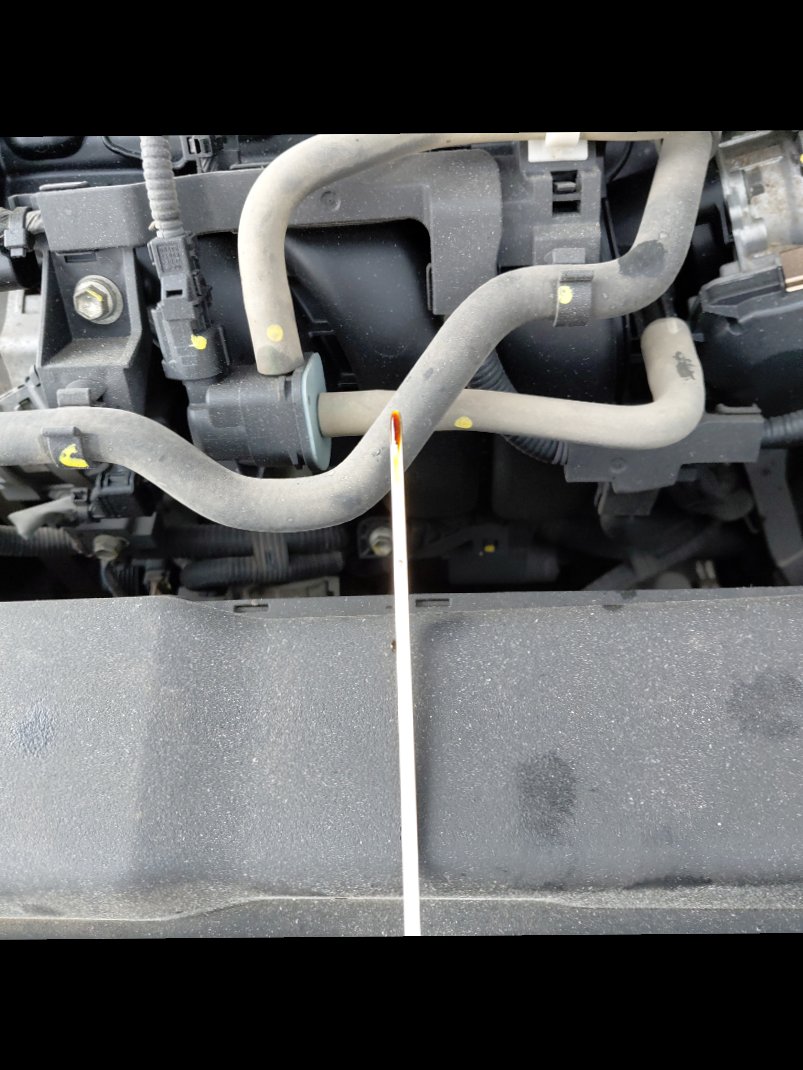 تويوتا كورولا XLI 2023 image