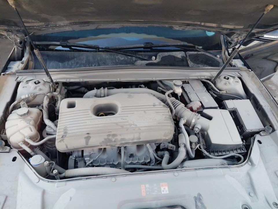 فورد توروس FLEET 2022 image