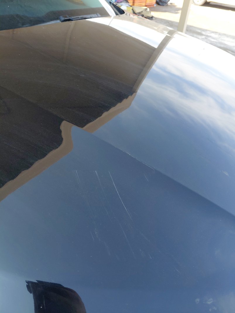 فورد توروس FLEET 2022 image