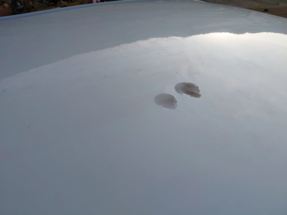 تويوتا كورولا XLI 2023 image