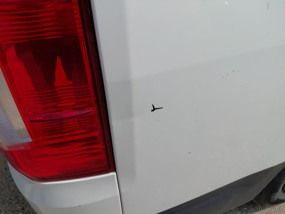 تويوتا هايس فان  2022 image