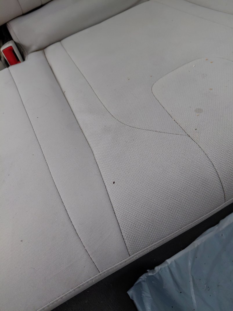 هيونداي إلنترا FLEET 2022 image