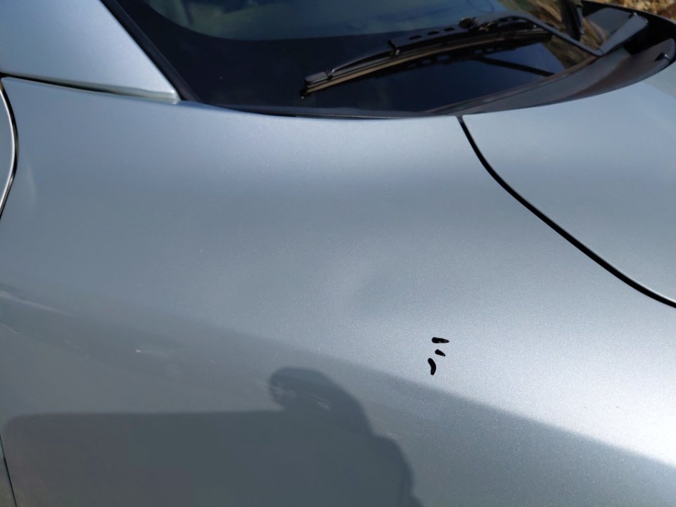 سوزوكي ديزاير GLX 2024 image