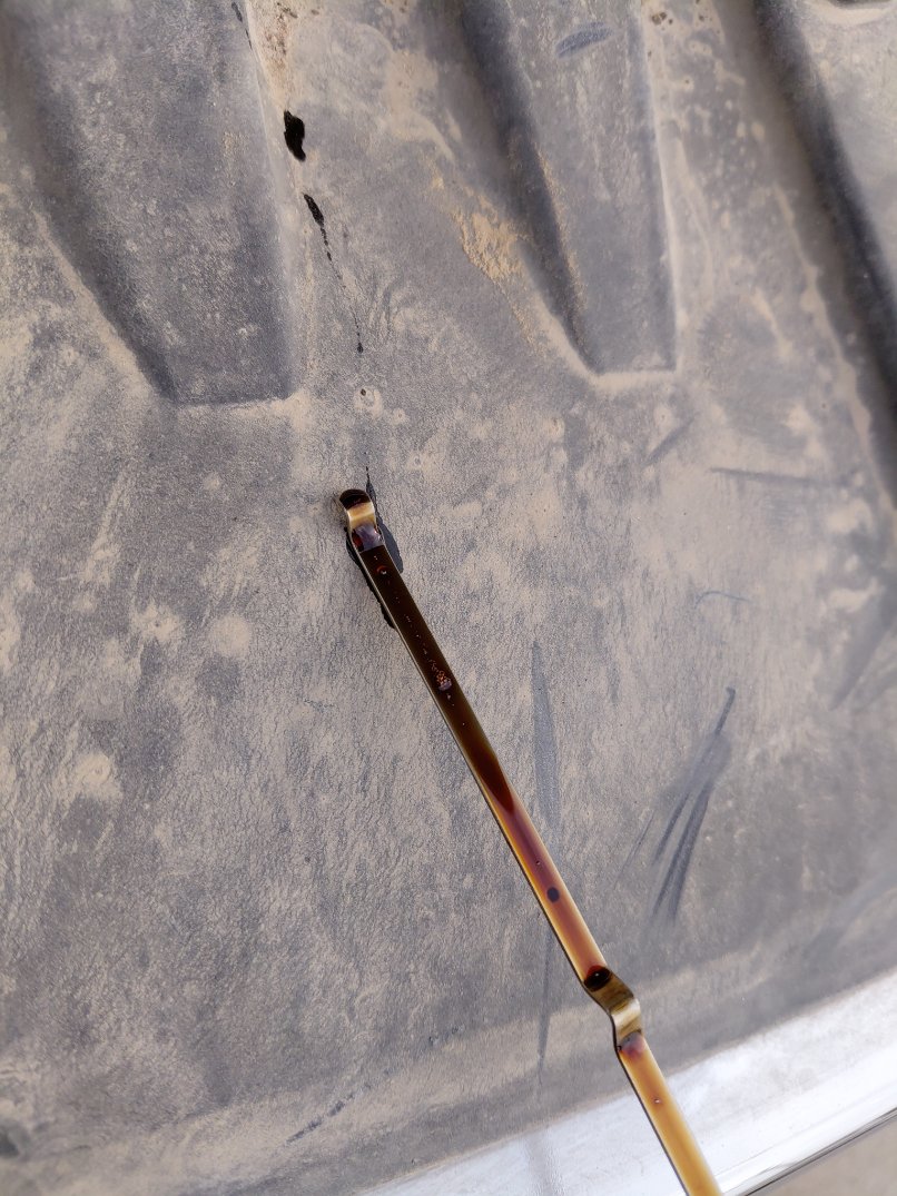 تويوتا راش STD Sports  2023 image