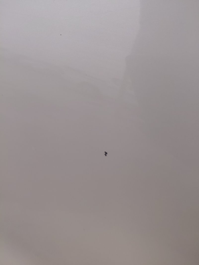 نيسان X-Trail S Sports - FWD 2020 image