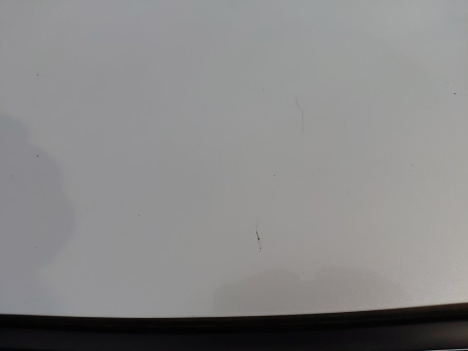 تويوتا كورولا XLI  2024 image