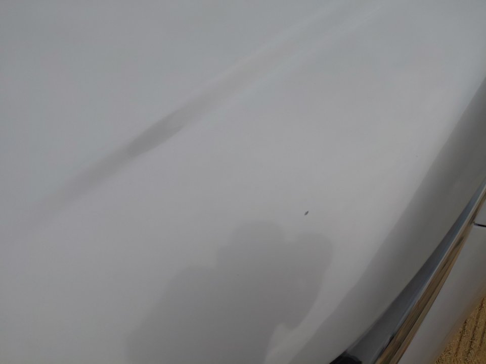 تويوتا كورولا XLI 2021 image