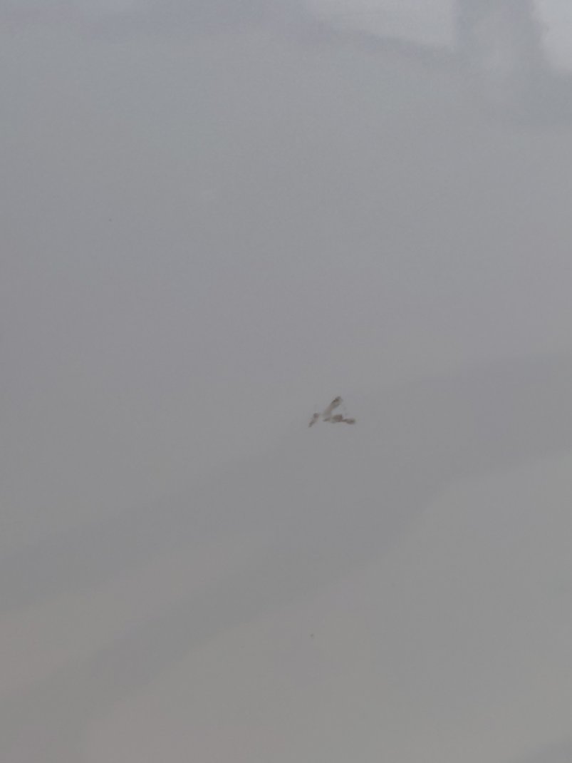 تويوتا فورتشنر GX2 SPORTS  2021 image