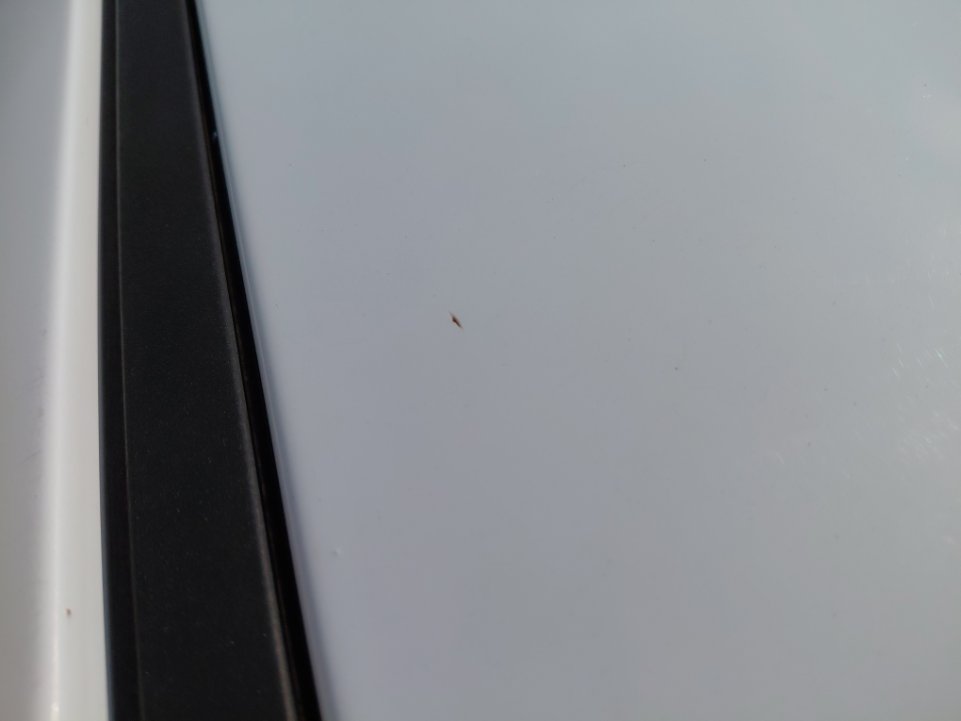 هيونداي إلنترا GL 2020 image