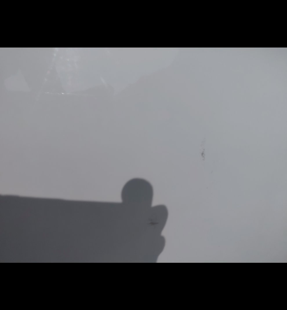 هيونداي إلنترا GL 2020 image