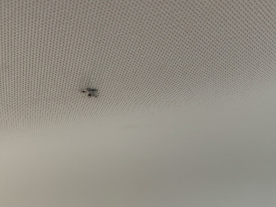 تويوتا كامري GLE 2020 image