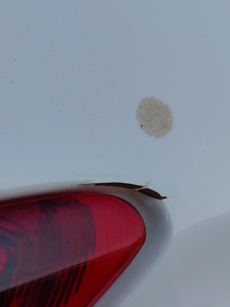 شانجان السفن BASIC 2023 image