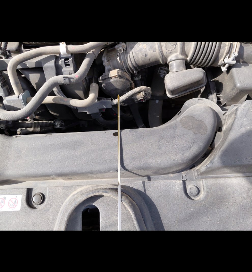 تويوتا كورولا XLI 2024 image