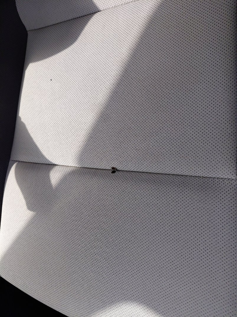 تويوتا كورولا XLI 2024 image