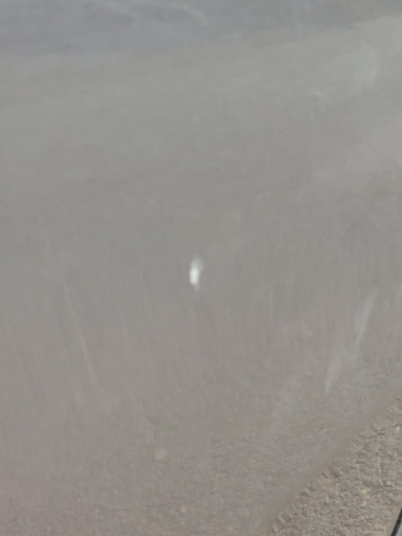 إم جي GT  2024 image