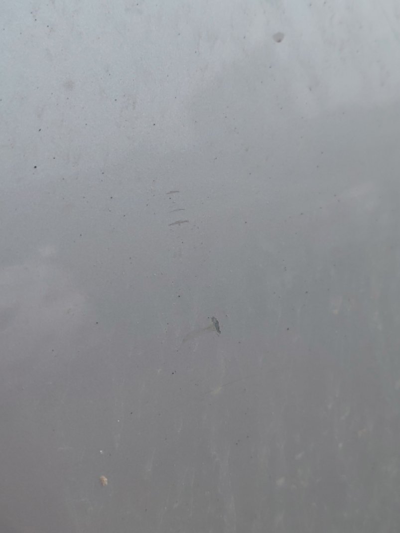 تويوتا كورولا XLI EXE  2023 image