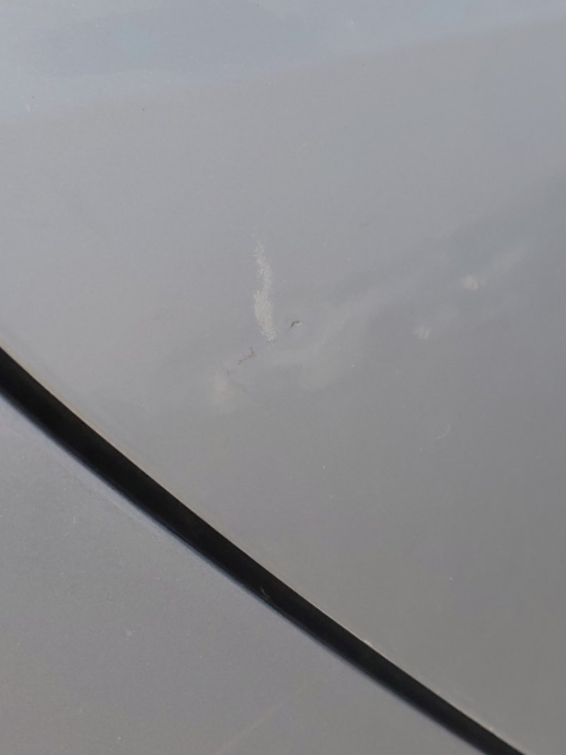 تويوتا كورولا XLI EXE  2023 image