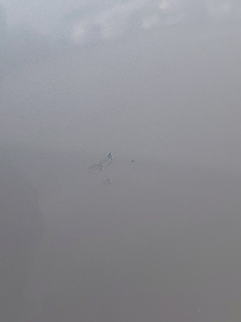 تويوتا كورولا XLI EXE  2023 image