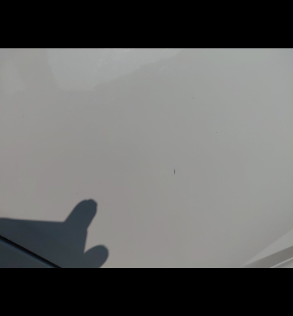 هيونداي إلنترا FLT  2024 image