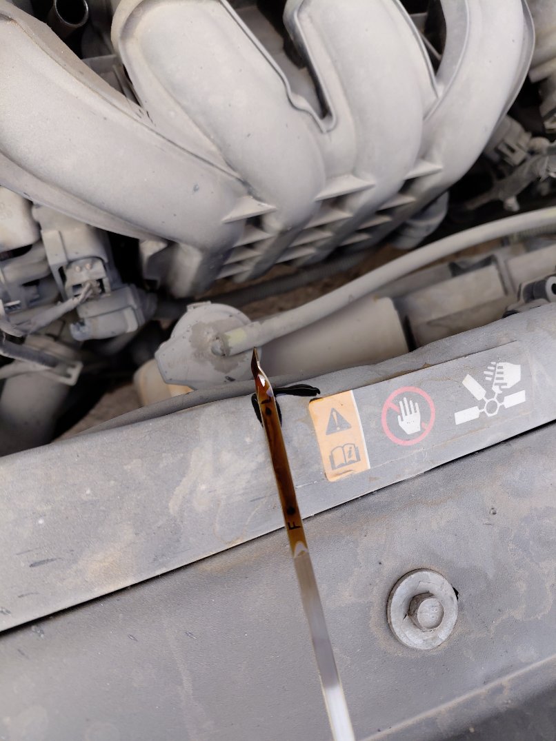 هيونداي أكسنت FLEET 2021 image