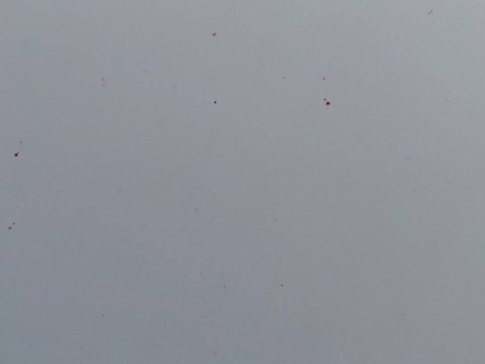 تويوتا هايس فان HIGH ROOF 2022 image